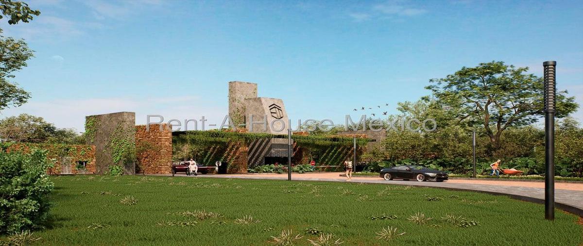 Foto de terreno habitacional en venta en  , celestun, celestún, yucatán, 0 No. 03