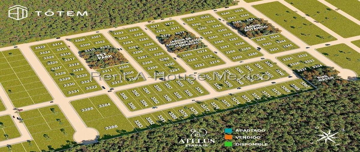 Foto de terreno habitacional en venta en  , celestun, celestún, yucatán, 0 No. 05