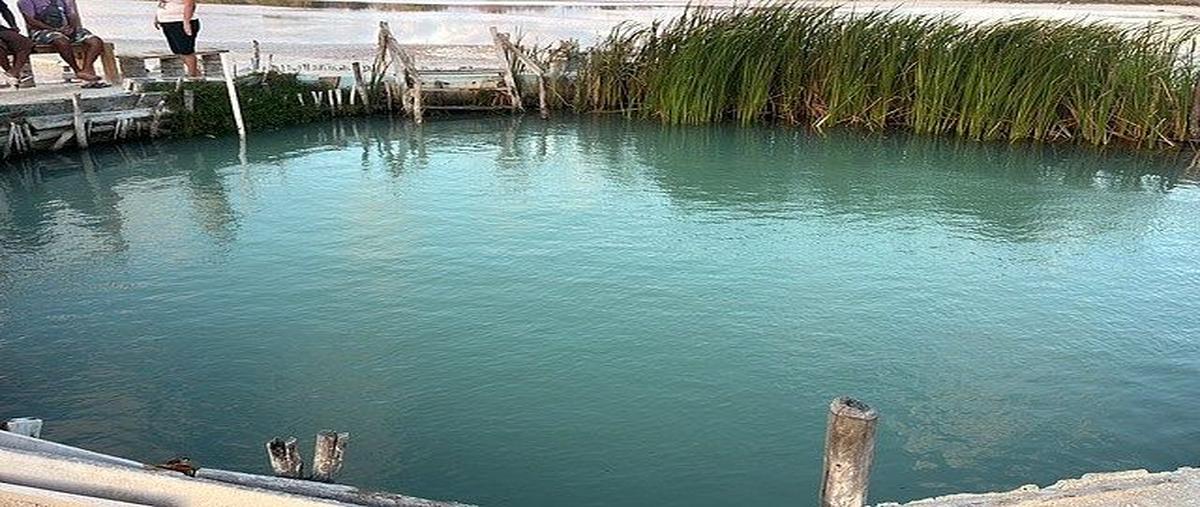 Foto de terreno habitacional en , celestun, celestún, yucatán, 0 foto 01 Foto de terreno habitacional en venta en , celestun, celestún, yucatán, 0 No. 01