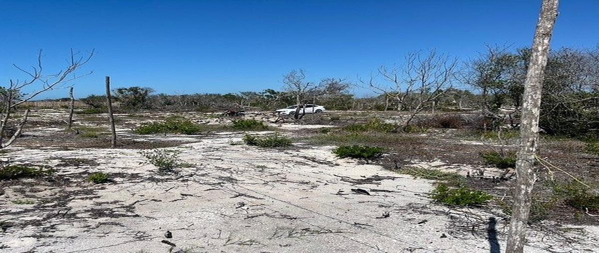 Foto de terreno habitacional en , celestun, celestún, yucatán, 0 foto 02 Foto de terreno habitacional en venta en , celestun, celestún, yucatán, 0 No. 02