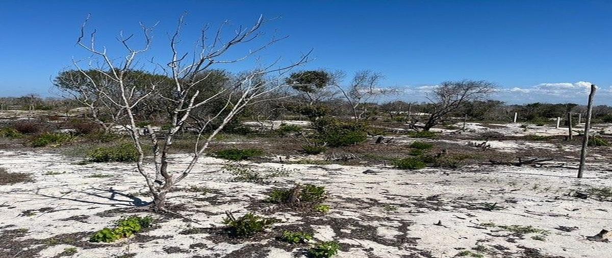 Foto de terreno habitacional en , celestun, celestún, yucatán, 0 foto 03 Foto de terreno habitacional en venta en , celestun, celestún, yucatán, 0 No. 03