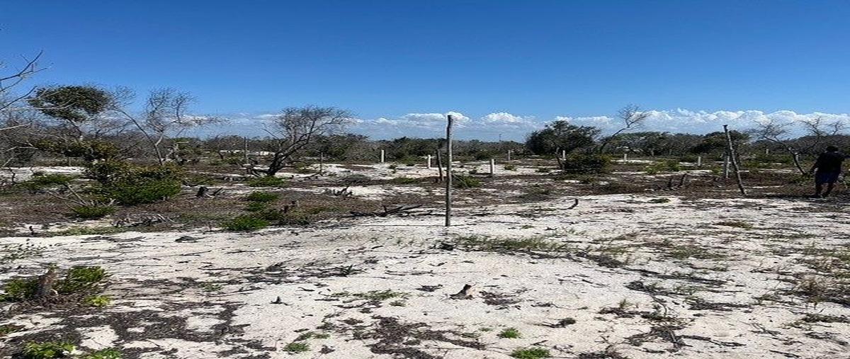 Foto de terreno habitacional en , celestun, celestún, yucatán, 0 foto 04 Foto de terreno habitacional en venta en , celestun, celestún, yucatán, 0 No. 04