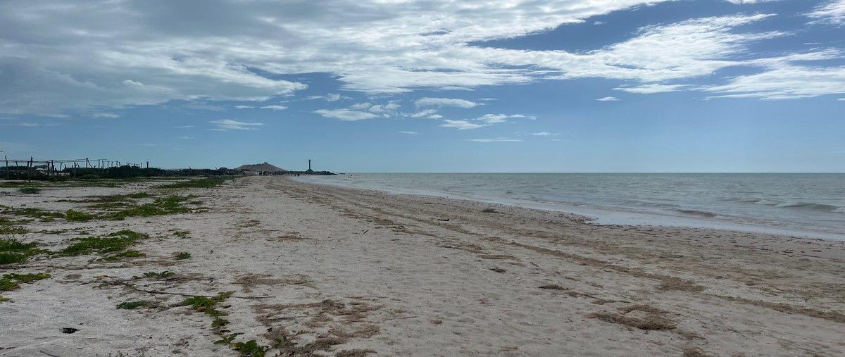 Foto de terreno comercial en renta en  , celestun, celestún, yucatán, 0 No. 03