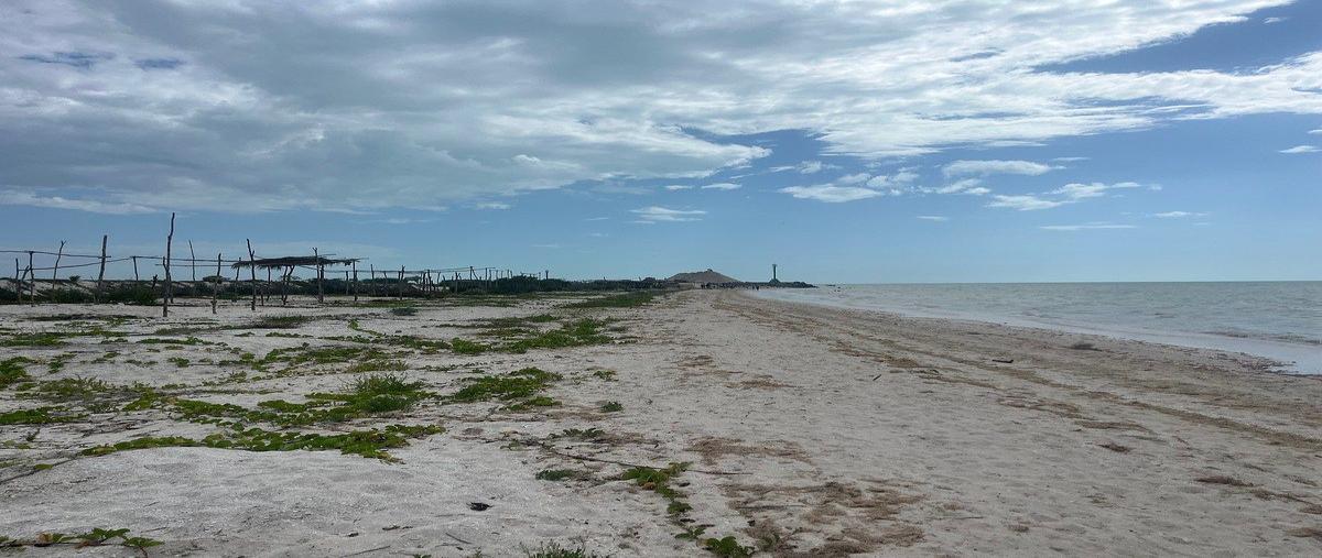 Foto de terreno comercial en renta en  , celestun, celestún, yucatán, 0 No. 04