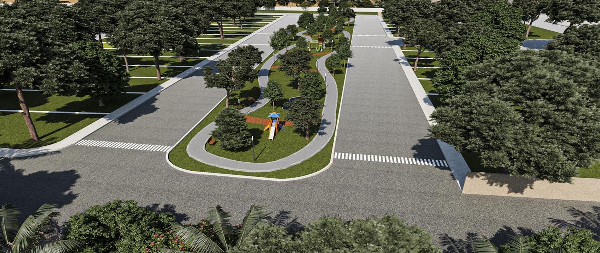 Foto de terreno habitacional en venta en  , celestun, celestún, yucatán, 0 No. 03