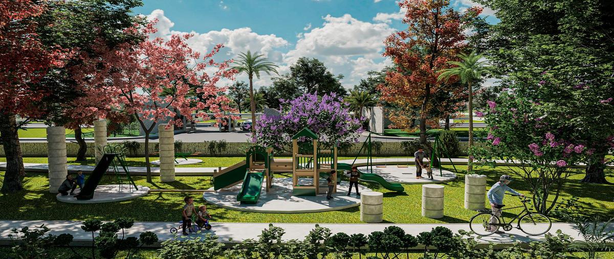 Foto de terreno habitacional en venta en  , celestun, celestún, yucatán, 0 No. 04