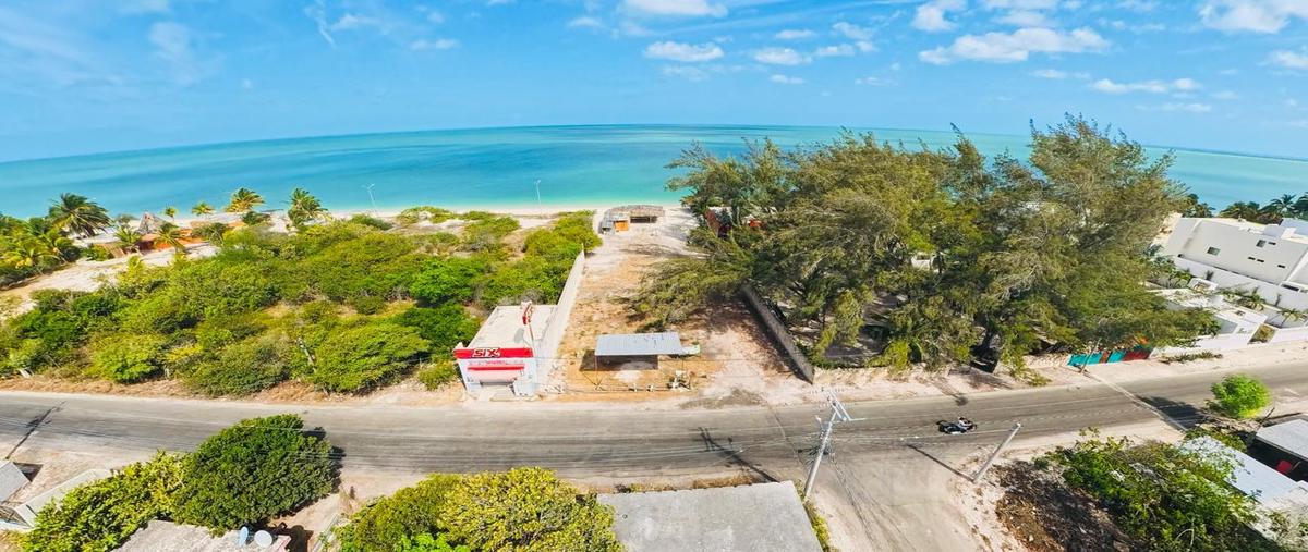 Foto de terreno habitacional en venta en  , celestun, celestún, yucatán, 0 No. 03