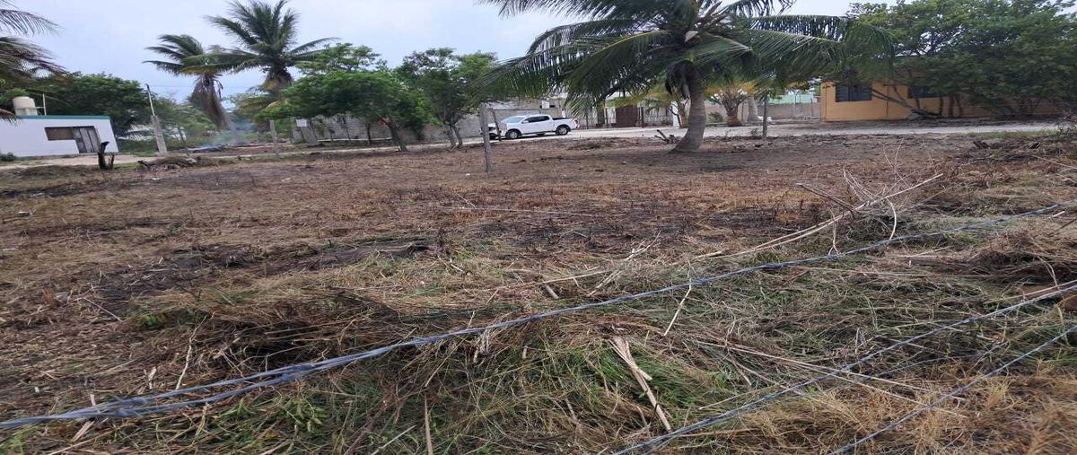 Foto de terreno habitacional en venta en  , celestun, celestún, yucatán, 31338567 No. 03