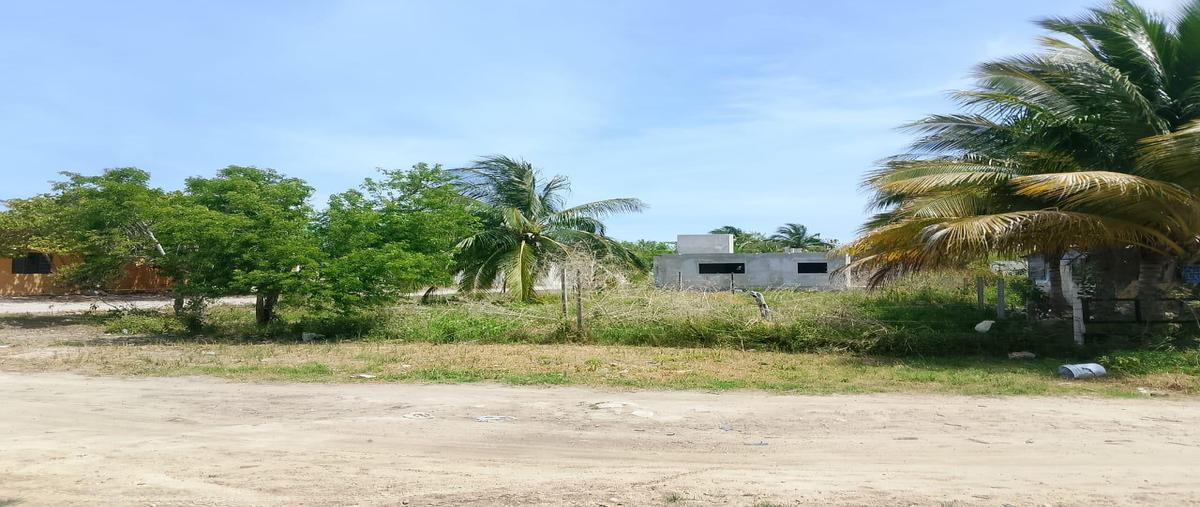 Foto de terreno habitacional en , celestun, celestún, yucatán, 0 foto 05 Foto de terreno habitacional en venta en , celestun, celestún, yucatán, 0 No. 05