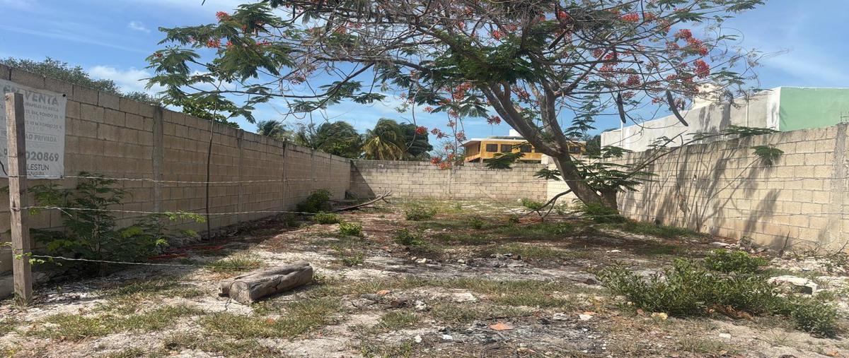 Foto de terreno habitacional en , celestun, celestún, yucatán, 0 foto 04 Foto de terreno habitacional en venta en , celestun, celestún, yucatán, 0 No. 04