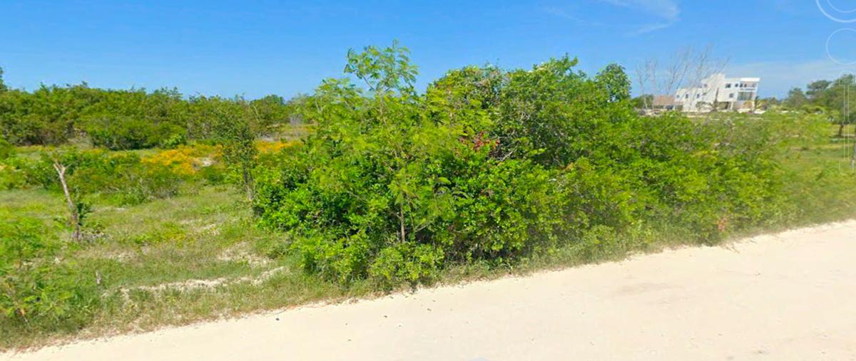 Foto de terreno habitacional en venta en  , celestun, celestún, yucatán, 0 No. 03