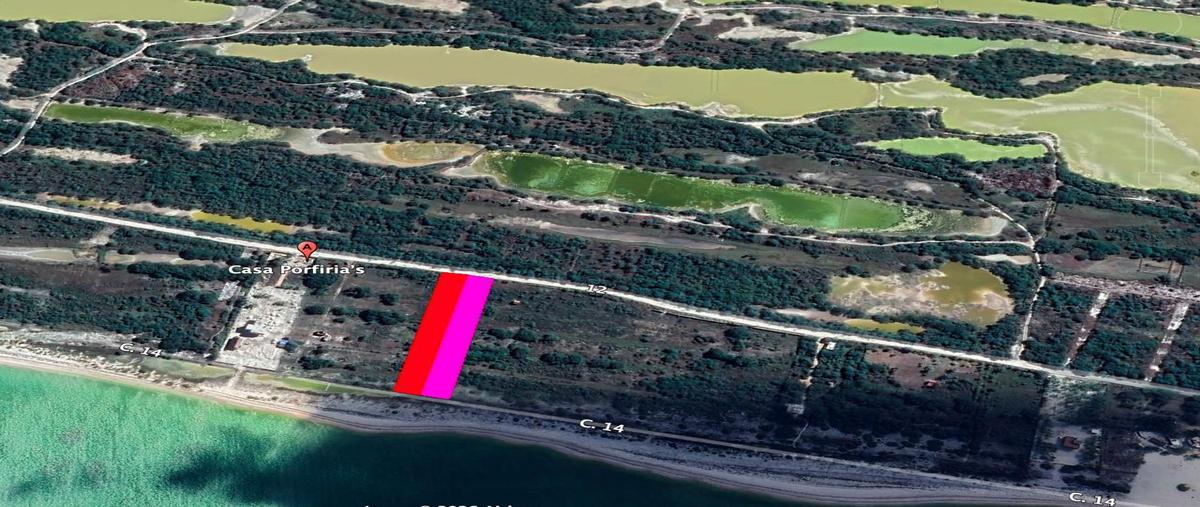 Foto de terreno habitacional en venta en  , celestun, celestún, yucatán, 0 No. 05