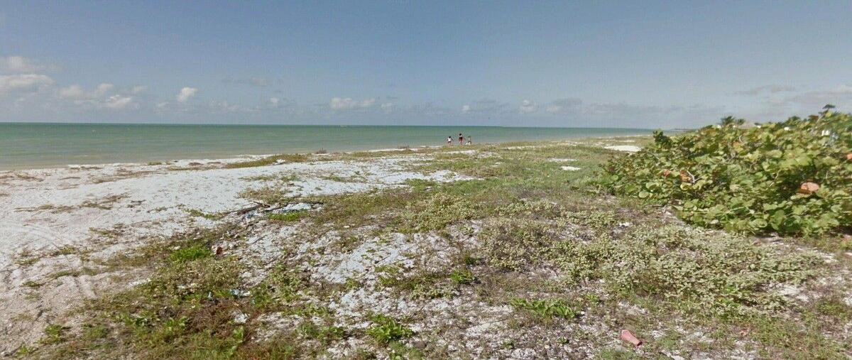 Foto de terreno habitacional en venta en celestún , santa cruz xixim, celestún, yucatán, 30130383 No. 04