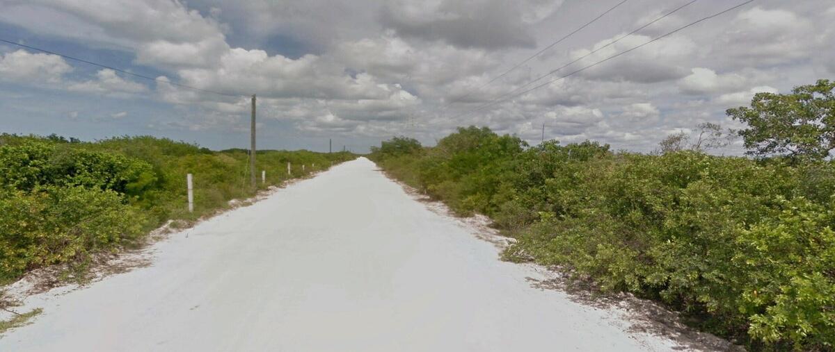 Foto de terreno habitacional en venta en celestún , santa cruz xixim, celestún, yucatán, 30130383 No. 05