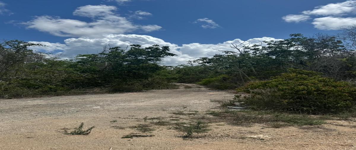 Foto de terreno habitacional en cenote pajarito , playa del carmen, solidaridad, quintana roo, 0 foto 02 Foto de terreno habitacional en venta en cenote pajarito , playa del carmen, solidaridad, quintana roo, 0 No. 02