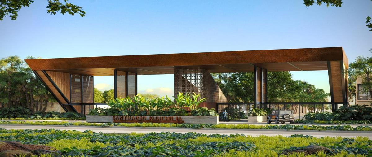 Foto de terreno habitacional en venta en  , cenotillo, cenotillo, yucatán, 0 No. 03