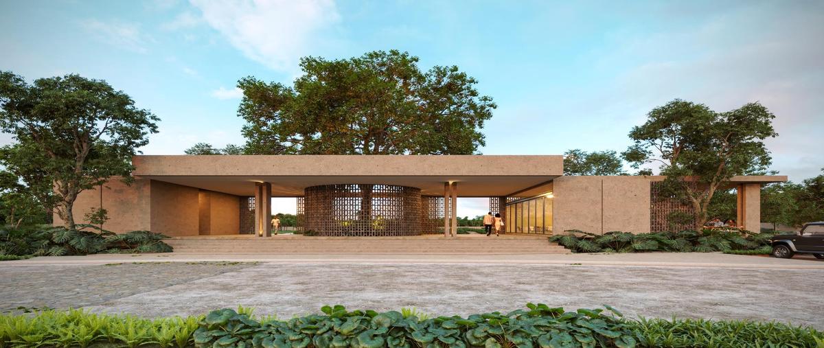 Foto de terreno habitacional en venta en  , cenotillo, cenotillo, yucatán, 0 No. 04