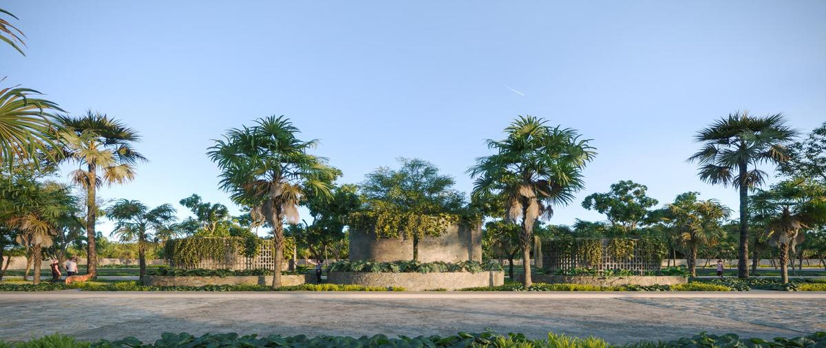 Foto de terreno habitacional en venta en  , cenotillo, cenotillo, yucatán, 0 No. 05