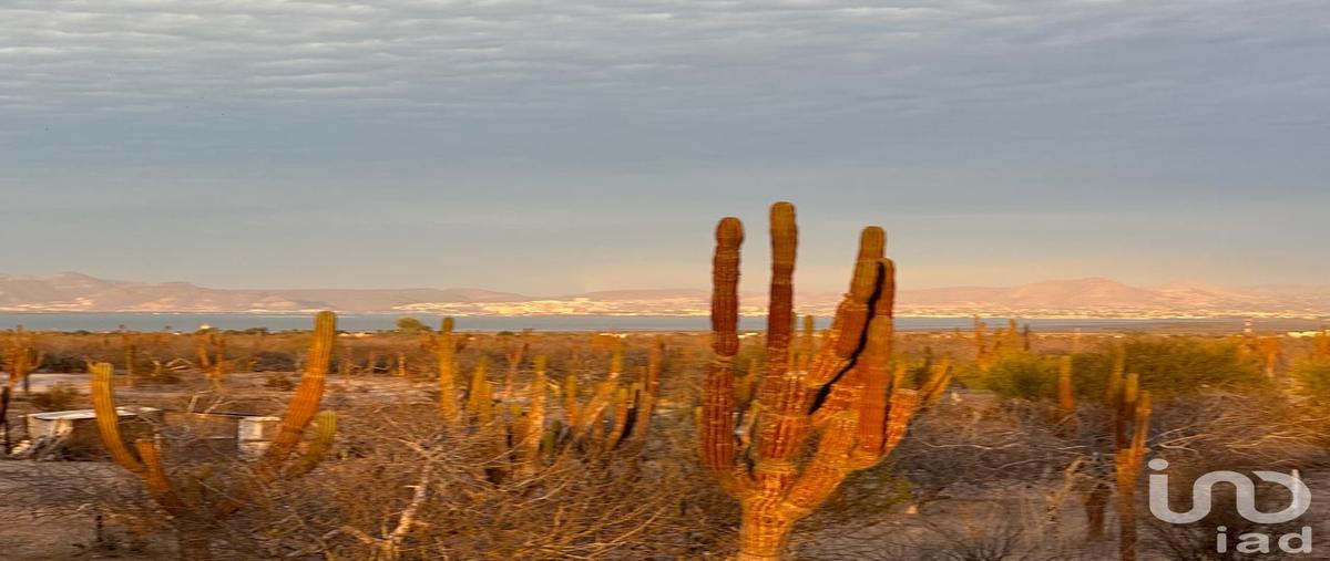 Foto de terreno habitacional en venta en centenario 118, 8 de octubre 1a sección, la paz, baja california sur, 30145046 No. 04