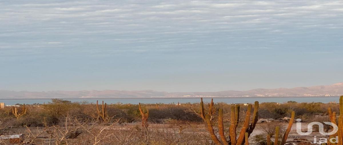Foto de terreno habitacional en venta en centenario 56, 8 de octubre 1a sección, la paz, baja california sur, 30145046 No. 03
