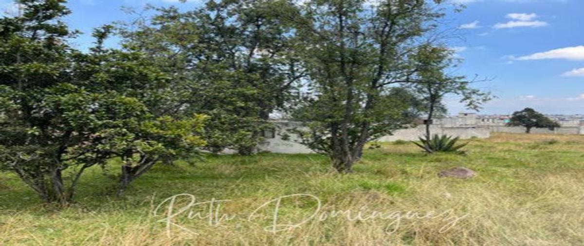 Foto de terreno habitacional en venta en centenario , san marcos  yachihuacaltepec, toluca, méxico, 25842963 No. 03