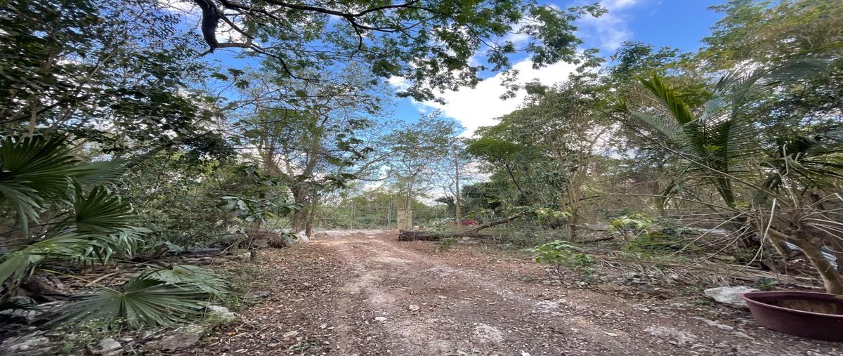 Foto de terreno habitacional en venta en  , central de bodegas, benito juárez, quintana roo, 0 No. 03