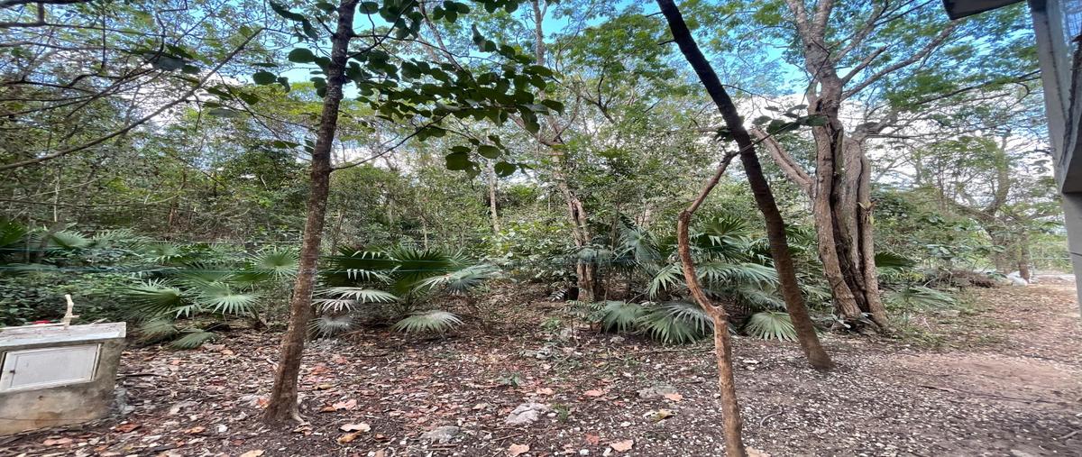 Foto de terreno habitacional en venta en  , central de bodegas, benito juárez, quintana roo, 0 No. 04