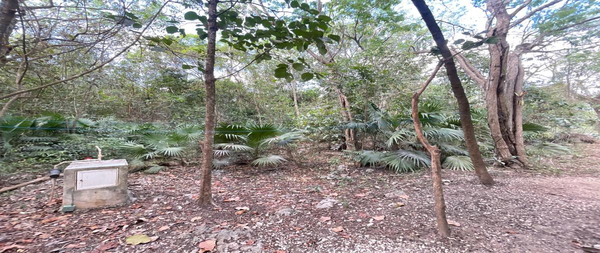 Foto de terreno habitacional en venta en  , central de bodegas, benito juárez, quintana roo, 0 No. 05