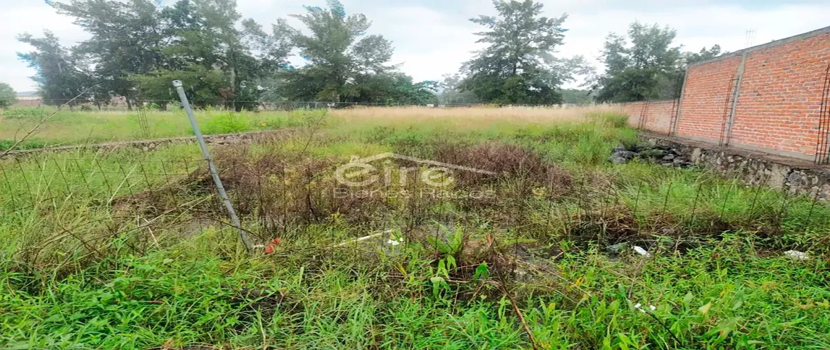 Foto de terreno habitacional en venta en centro 0, acatlán de juárez centro, acatlán de juárez, jalisco, 0 No. 03