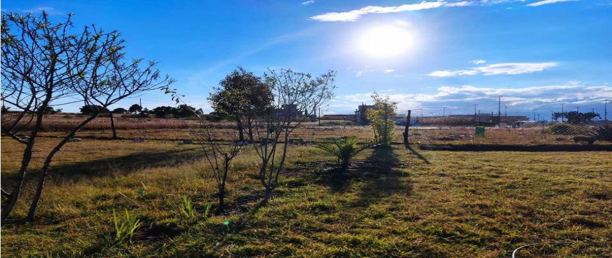 Foto de terreno habitacional en venta en  , centro, apizaco, tlaxcala, 0 No. 05