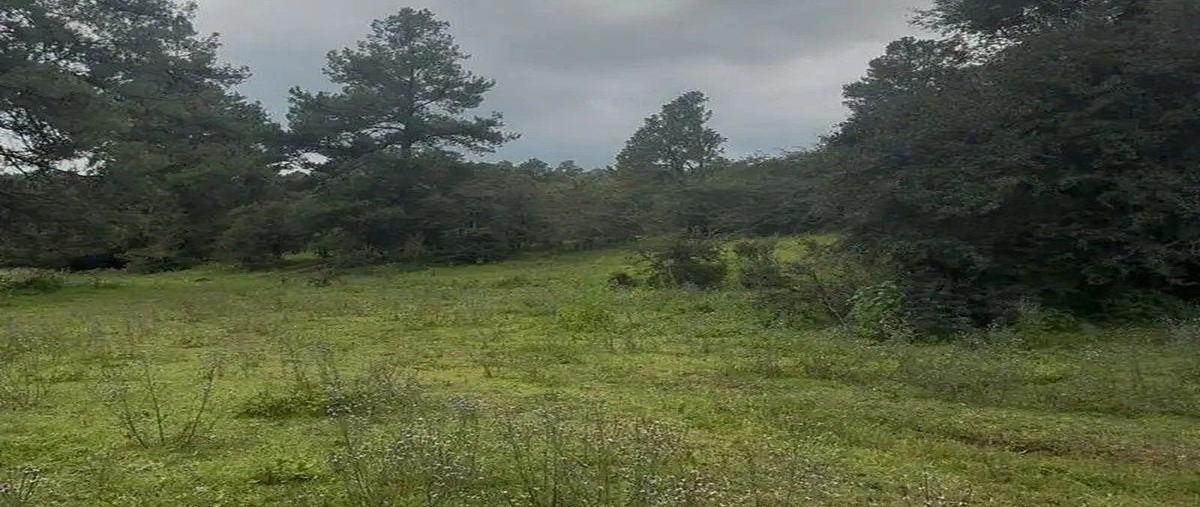 Foto de terreno habitacional en venta en centro , atemajac de brizuela, atemajac de brizuela, jalisco, 0 No. 03