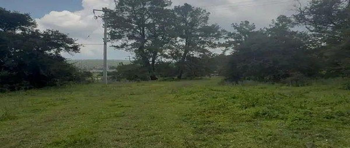 Foto de terreno habitacional en venta en centro , atemajac de brizuela, atemajac de brizuela, jalisco, 0 No. 04