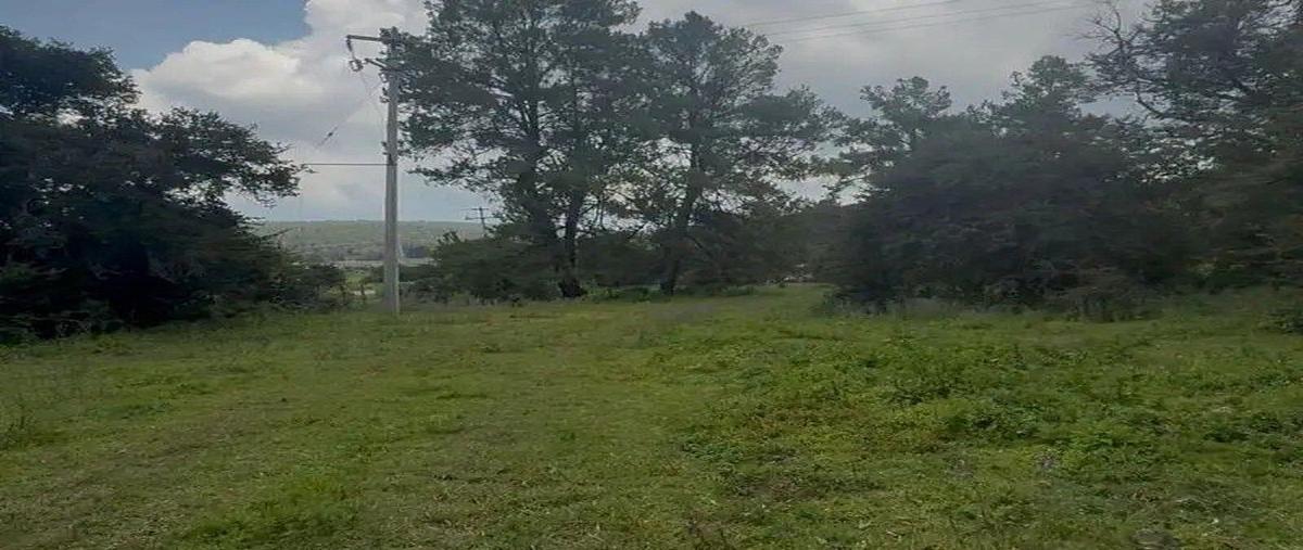 Foto de terreno habitacional en venta en centro , atemajac de brizuela, atemajac de brizuela, jalisco, 0 No. 05