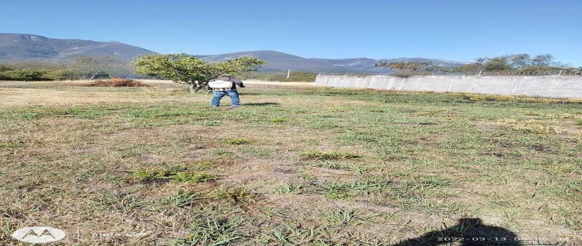 Foto de terreno habitacional en venta en centro , cadereyta jimenez centro, cadereyta jiménez, nuevo león, 28883578 No. 04