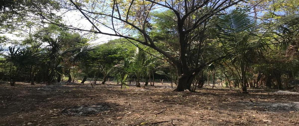 Foto de terreno habitacional en venta en  , centro calderitas, othón p. blanco, quintana roo, 0 No. 04