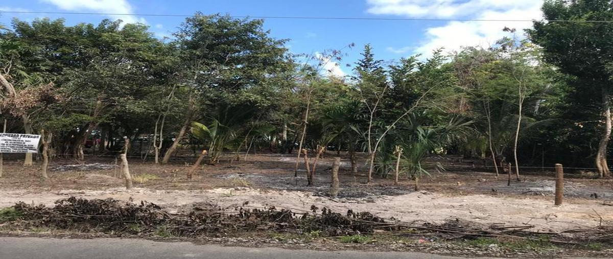 Foto de terreno habitacional en venta en  , centro calderitas, othón p. blanco, quintana roo, 0 No. 05