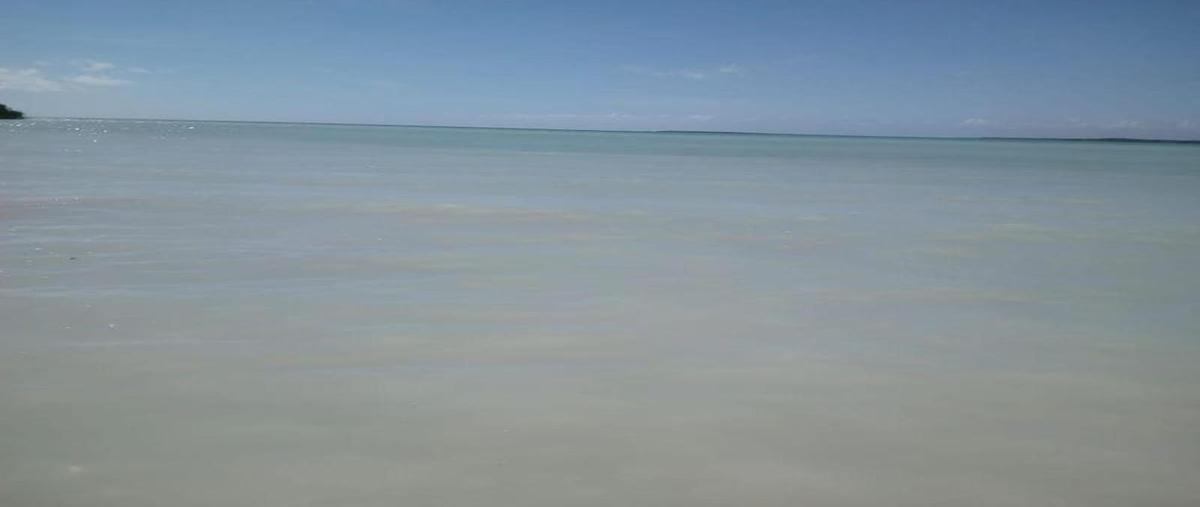 Foto de terreno habitacional en venta en  , centro calderitas, othón p. blanco, quintana roo, 30889678 No. 04