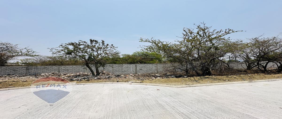 Foto de terreno habitacional en centro , centro jiutepec, jiutepec, morelos, 27976807 foto 05 Foto de terreno habitacional en venta en centro , centro jiutepec, jiutepec, morelos, 27976807 No. 05