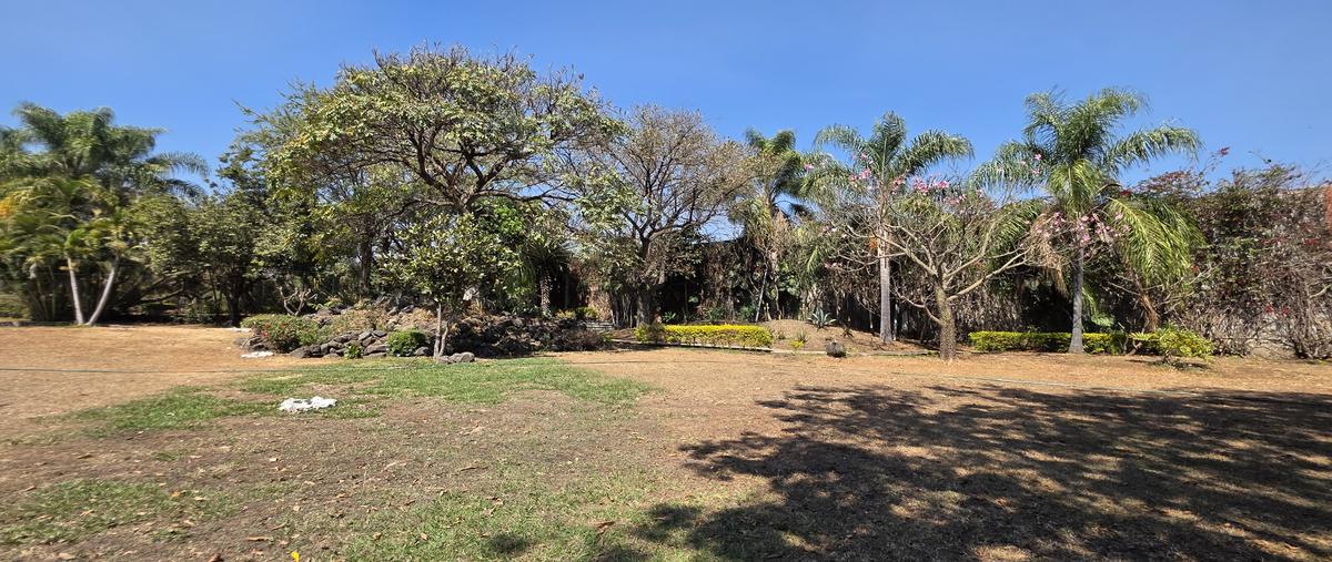 Foto de casa en venta en centro , centro jiutepec, jiutepec, morelos, 30908113 No. 04