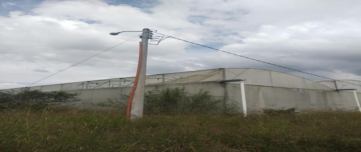 Foto de terreno comercial en venta en centro , centro unión de tula, unión de tula, jalisco, 0 No. 03