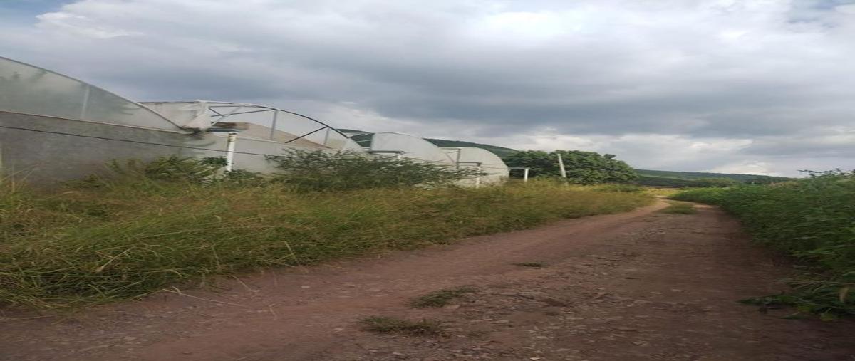 Foto de terreno comercial en venta en centro , centro unión de tula, unión de tula, jalisco, 0 No. 04