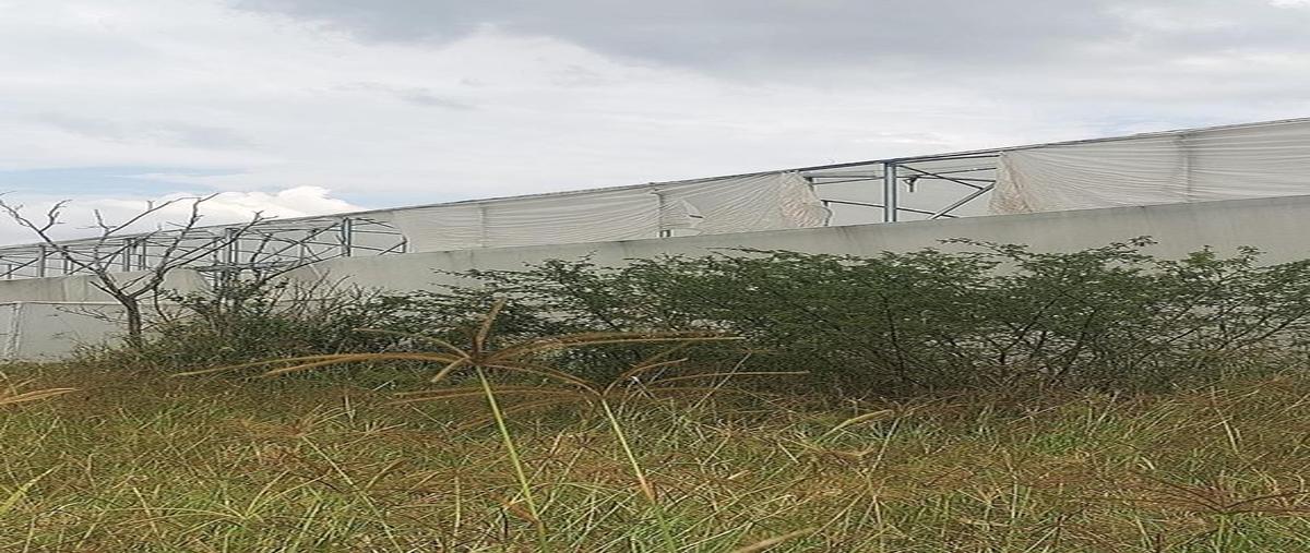 Foto de terreno comercial en venta en centro , centro unión de tula, unión de tula, jalisco, 0 No. 05