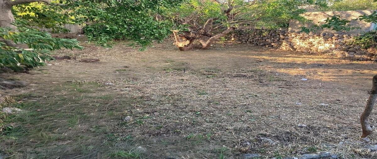 Foto de casa en venta en centro cerca de la plancha , merida centro, mérida, yucatán, 0 No. 04