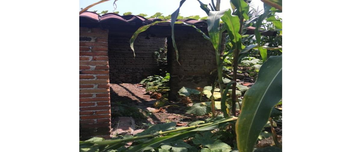 Foto de terreno habitacional en venta en  , centro, cuautla, morelos, 0 No. 03