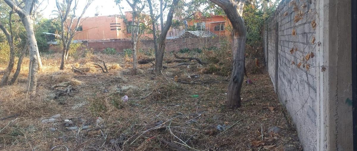 Foto de terreno habitacional en venta en  , centro, cuautla, morelos, 0 No. 05