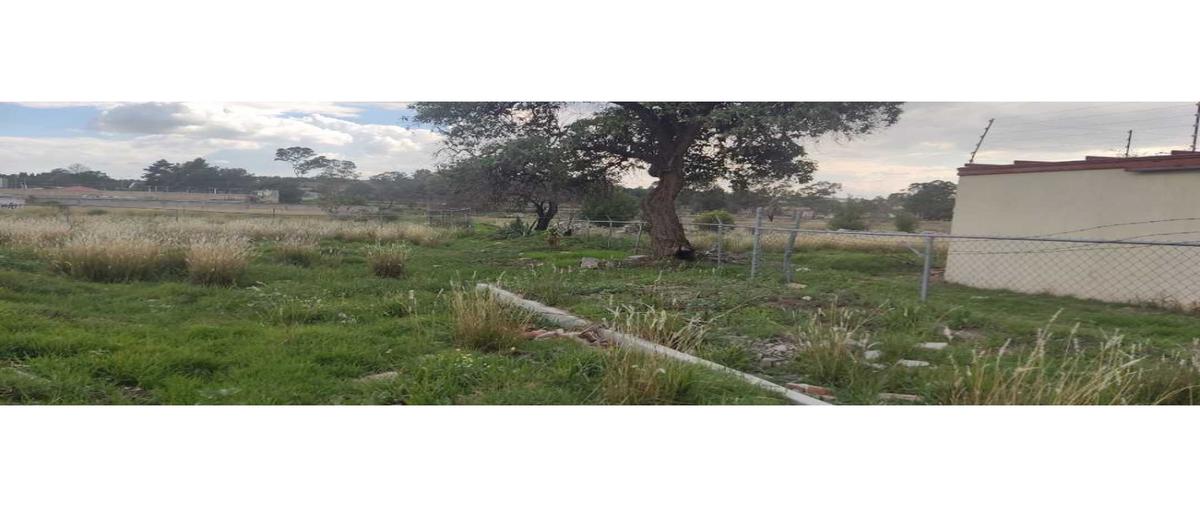 Foto de terreno comercial en venta en  , centro, cuaxomulco, tlaxcala, 0 No. 04