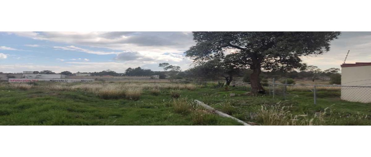 Foto de terreno comercial en venta en  , centro, cuaxomulco, tlaxcala, 0 No. 05