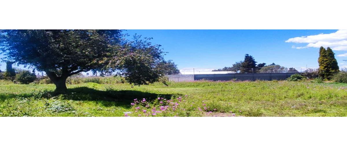 Foto de terreno habitacional en venta en  , centro, cuaxomulco, tlaxcala, 0 No. 03