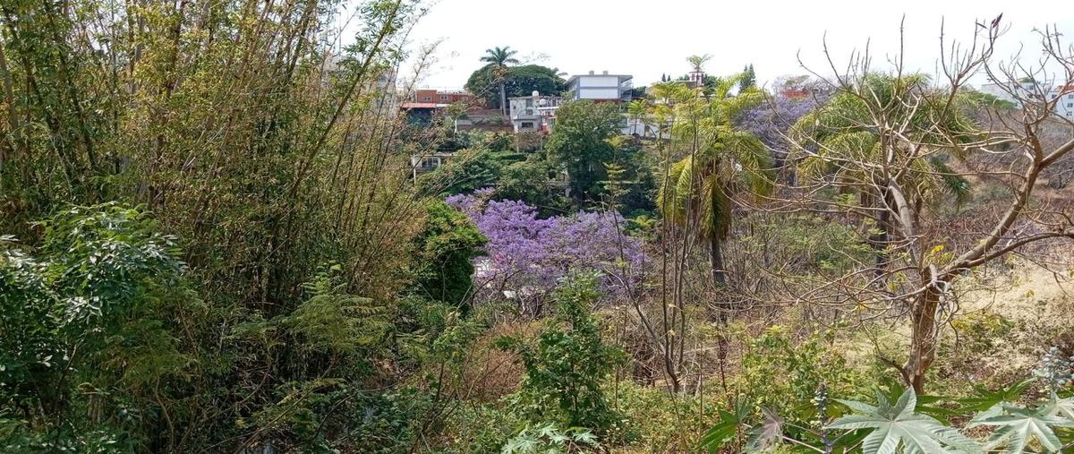 Foto de terreno habitacional en venta en centro , cuernavaca centro, cuernavaca, morelos, 31463196 No. 05