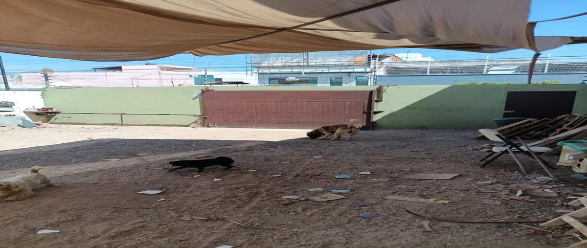 Foto de terreno habitacional en venta en  , centro, culiacán, sinaloa, 0 No. 05